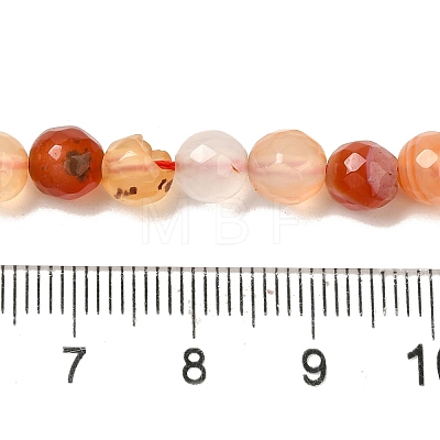 Natural Agate(Dyed & Heated) Beads Strands G-H066-B01-01-1