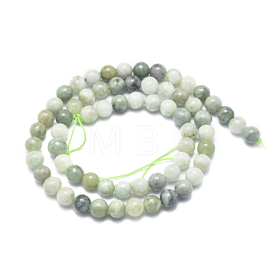 Natural Myanmar Jade/Burmese Jade Beads Strands G-D0001-08-6mm-1