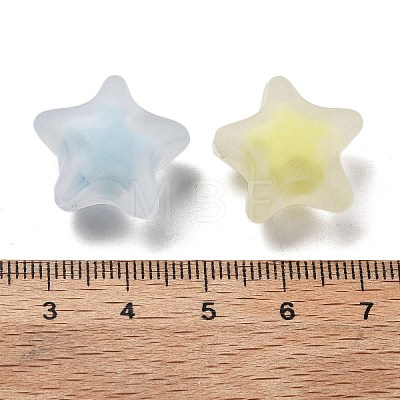 Frosted Transparent Acrylic Beads OACR-A032-13C-1