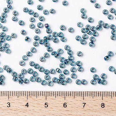 MIYUKI Round Rocailles Beads X-SEED-G008-RR0339-1