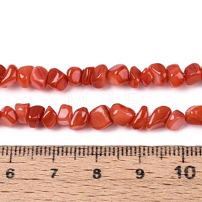 Natural Freshwater Shell Beads Strands SHEL-N037-04D-1