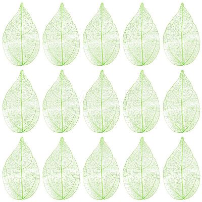 100Pcs Dried Flower Leaf Craft Supplies AJEW-CP0009-41A-1