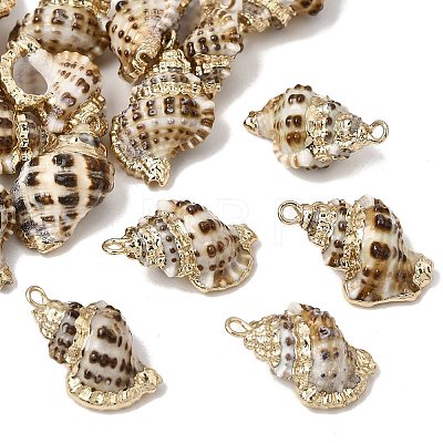 Brass & Natural Shell Pendants SH-CBA27C9-03-1