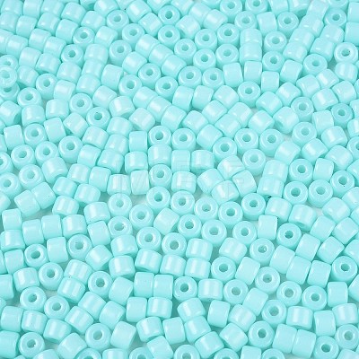 Opaque Baking Paint Glass Seed Beads SEED-T008-02N-1