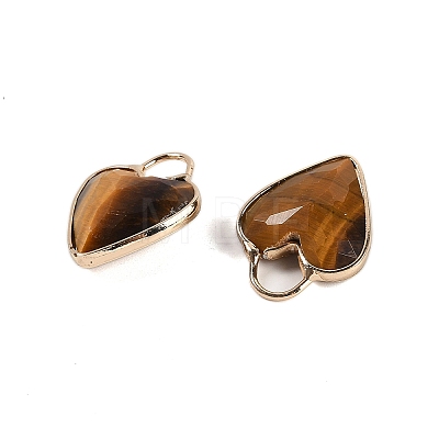 Natural Tiger Eye Faceted Pendans KK-L218-005G-01-1