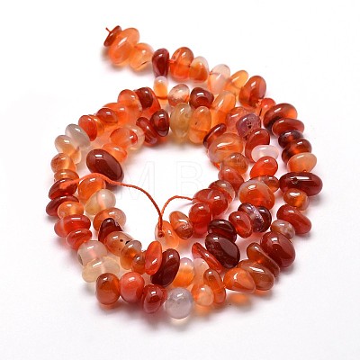 Dyed Natural Carnelian Chip Beads Strands X-G-E271-105-1