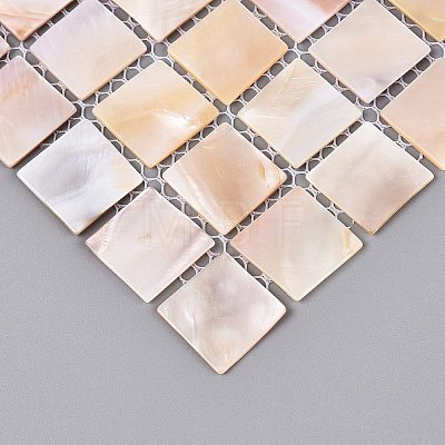 Natural Freshwater Shell Mosaic Tile Cabochons SHEL-Q029-05B-1