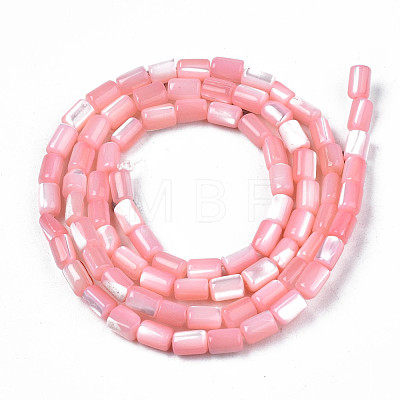 Natural Trochid Shell/Trochus Shell Beads Strands SHEL-N003-26-B05-1