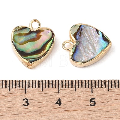 Natural Paua Shell Heart Charms with Brass Edge SHEL-P017-19G-1