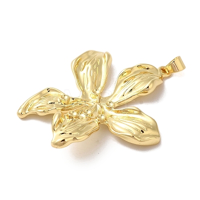 Rack Plating Brass & Cubic Zirconia Pendants KK-L216-068G-1