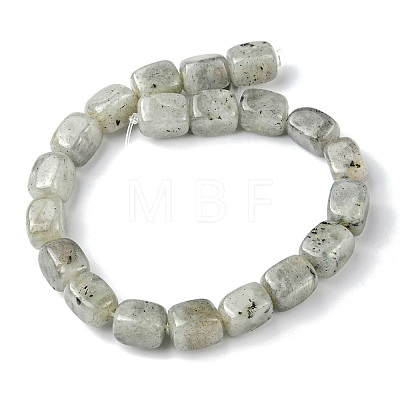 Natural Labradorite Beads Strands G-F743-02B-1