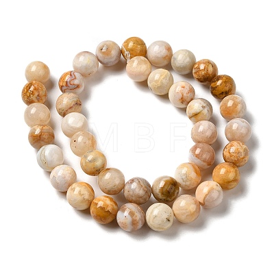 Natural Crazy Agate Beads Strands G-H298-A12-04-1