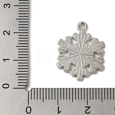 Winter Theme Alloy Enamel Pendants ENAM-M002-05R-P-1