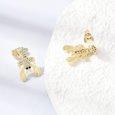 Brass Micro Pave Cubic Zirconia Stud Earrings KK-CBA5B62-06G-1