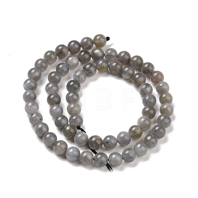 Natural Labradorite Bead Strands G-P259-03-6mm-1