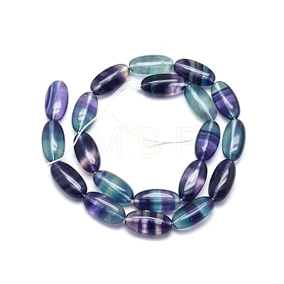 Natural Fluorite Beads Strands G-O170-96-1