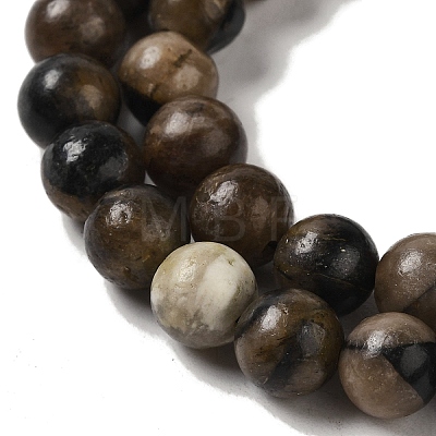 Natural Chiastolite Beads Strands G-Q161-A03-03-1