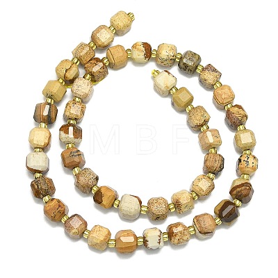 Natural Picture Jasper Beads Strand G-I376-D78-01-1