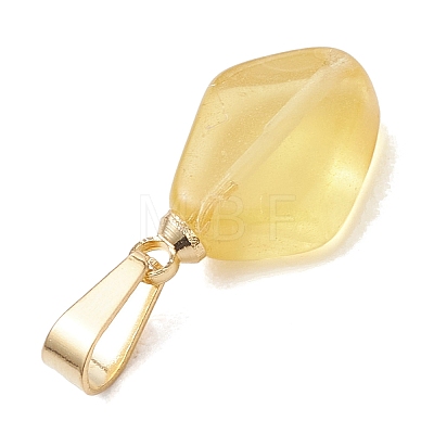 Natural Amber Pendants PALLOY-JF05157-1