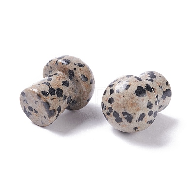 Natural Dalmatian Jasper GuaSha Stone G-M380-A02-1