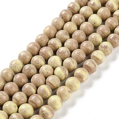 Natural Rainbow Alashan Agate Beads Strands G-NH0022-A-02-1