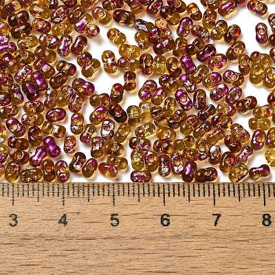 Spray Painted Glass Seed Beads SEED-F005-03A-01-1