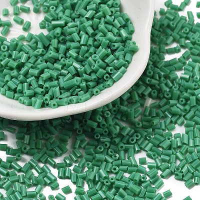 Two Cut Glass Seed Beads CSDB47-1