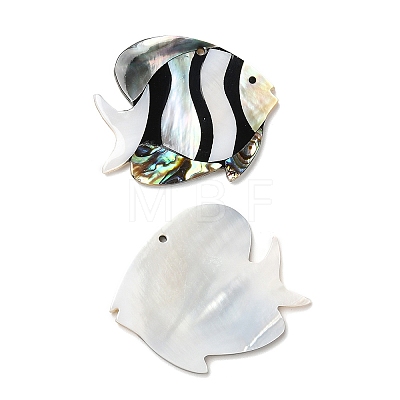 Natural Freshwater Shell & Black Lip Shell & Paua Shell Pendants X-SHEL-F007-14-1