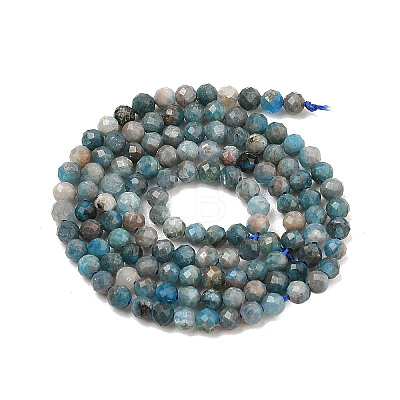 Natural Apatite Beads Strands G-K185-02-3mm-01-1