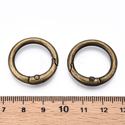 Alloy Spring Gate Rings AJEW-WH0129-48B-AB-1