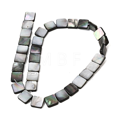 Natural Black Lip Shell Beads Strands SHEL-A006-09B-1