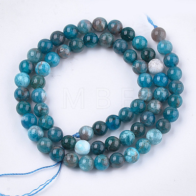 Natural Apatite Beads Strands X-G-S333-6mm-031-1