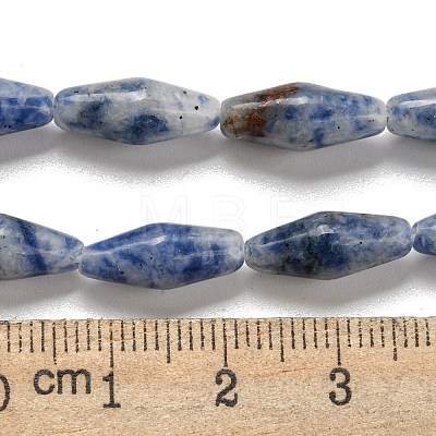 Natural Blue Spot Beads Strands G-A223-A06-01-1