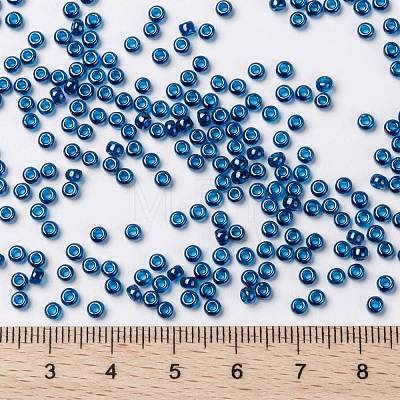 MIYUKI Round Rocailles Beads X-SEED-G008-RR2273-1