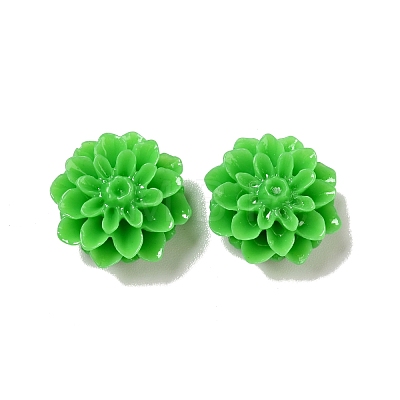Resin Cabochons CRES-D2448-7-1