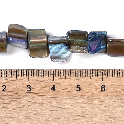 Dyed Natural Freshwater Shell Beads Strands SHEL-P016-01B-1