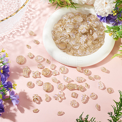 100G Transparent Acrylic Beads OACR-BT0001-05E-1