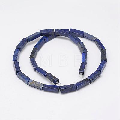 Natural Lapis Lazuli Beads Strands G-E342-11-1