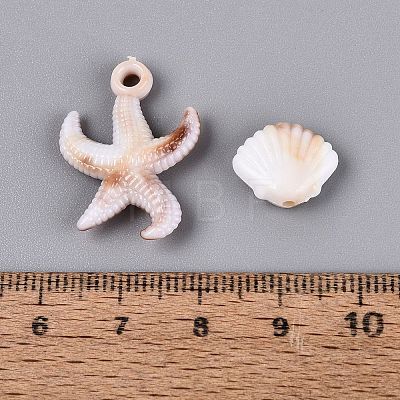 Two Tone Ocean Series Opaque Plastic Imitation Gemstone Pendants KY-Q005-05-1