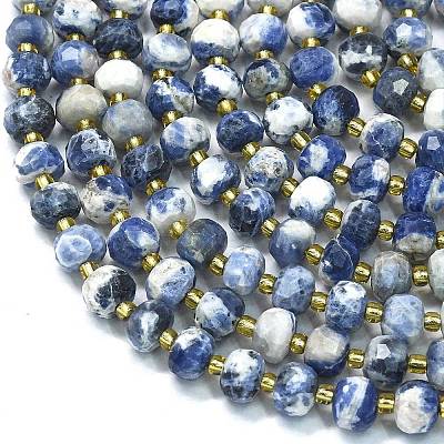 Natural Sodalite Beads Strands G-K389-E74-01A-1