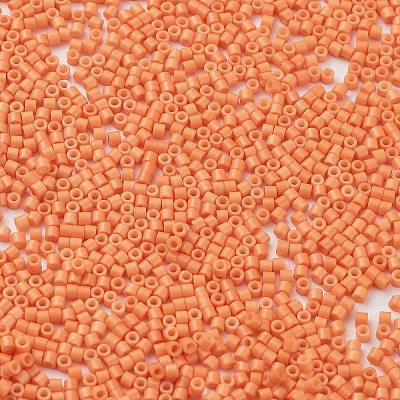 Baking Paint Glass Seed Beads SEED-S042-05B-83-1