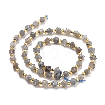 Natural Labradorite Beads Strands G-P463-35-1