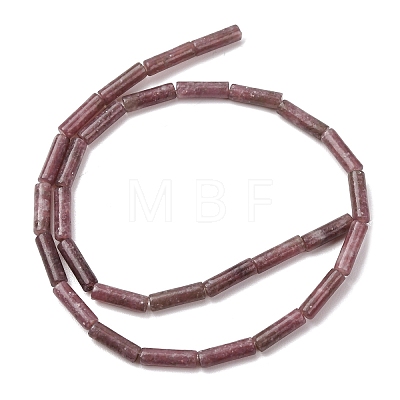 Natural Lepidolite/Purple Mica Stone Beads Strands G-F247-45A-1