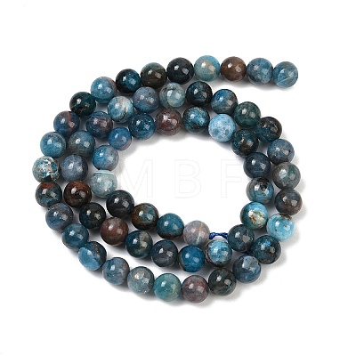 Round Natural Apatite Beads Strands G-K068-02-6mm-01-1