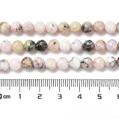 Natural African Opal Beads Strands G-K345-A03-01-1