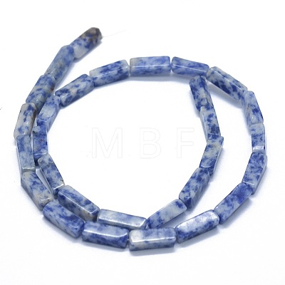 Natural Blue Spot Jasper Beads Strands G-F631-E04-1