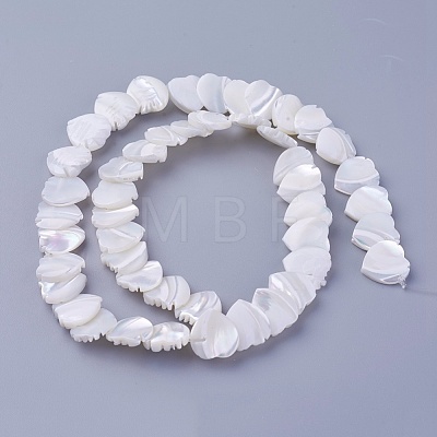 Shell Beads Strands SSHEL-E571-36-1