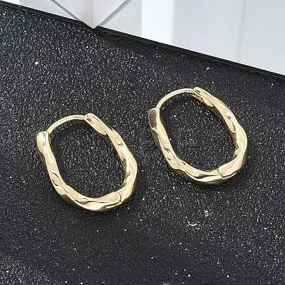 Brass Twist Hoop Earrings EJEW-Q014-02G-1