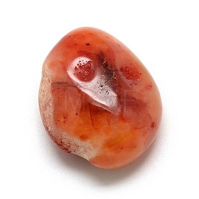 Natural Carnelian Stone Gemstone Beads G-S218-15-1