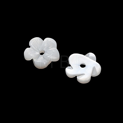 Natural White Shell Beads SH-CBA93AD-07A-1
